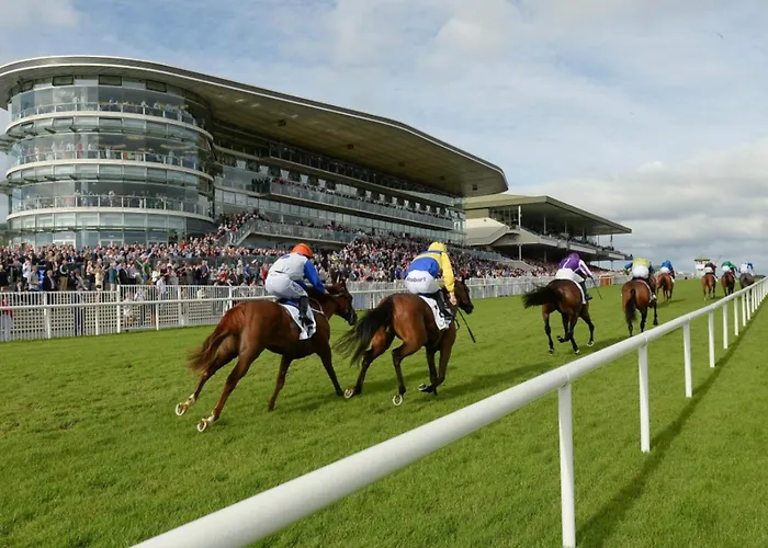 Vakantiehuis Oranmore Holiday Home Oranmore